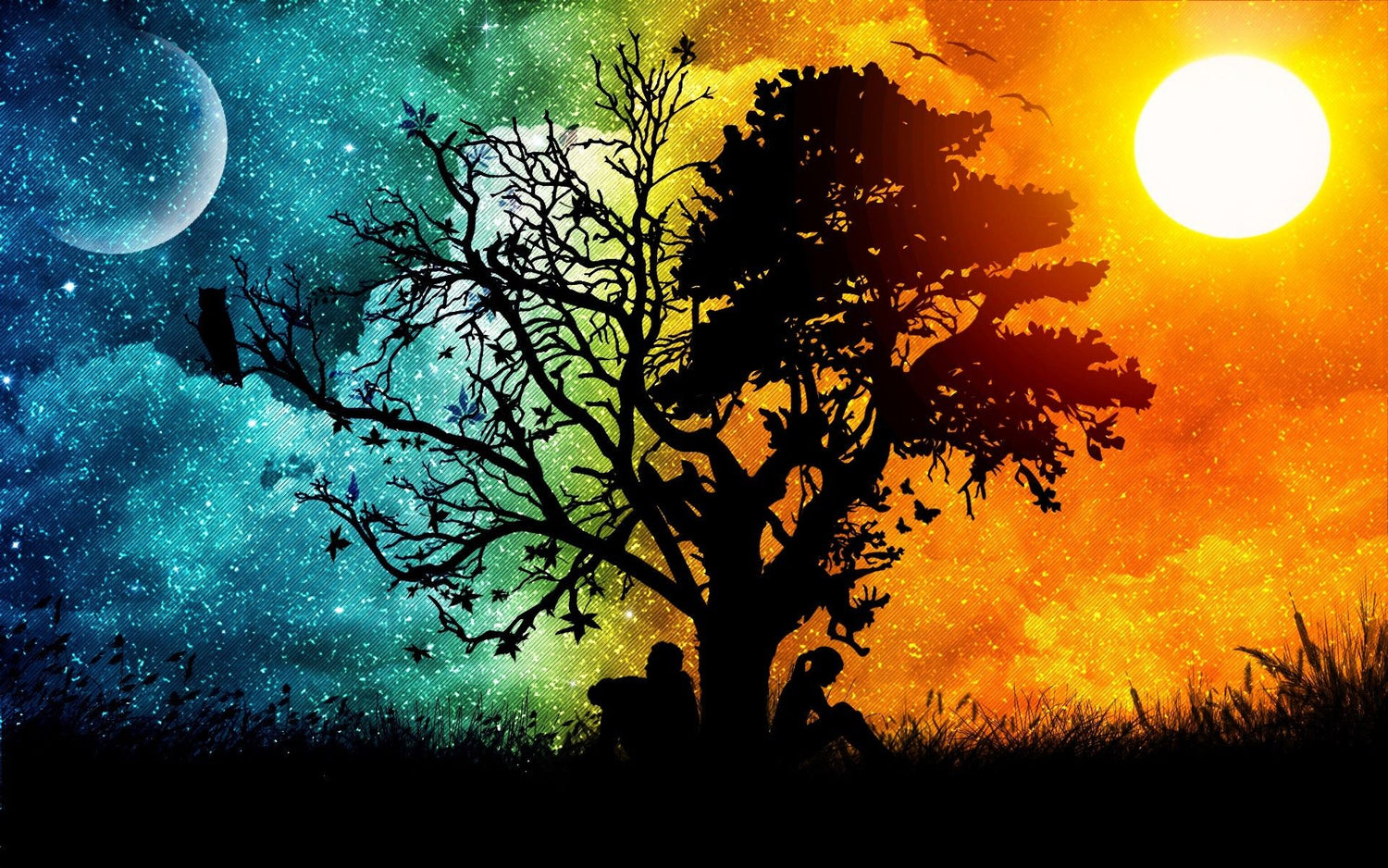 Sun & Moon